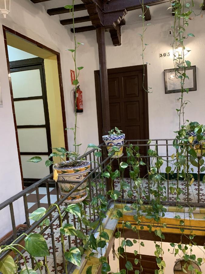 Pension Lisdos เซบีญา ภายนอก รูปภาพ
